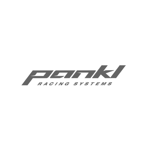 Logo Pankl Racing Systems in grau