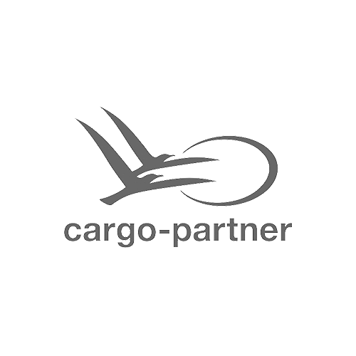 Logo cargo-partner in grau