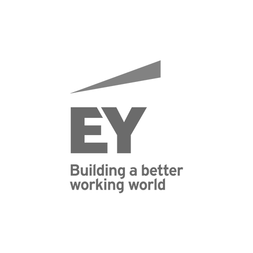 Logo EY Ernst & Young in grau